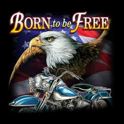 American Bald Eagle Harley Davidson Motorcycle Born to Ride 